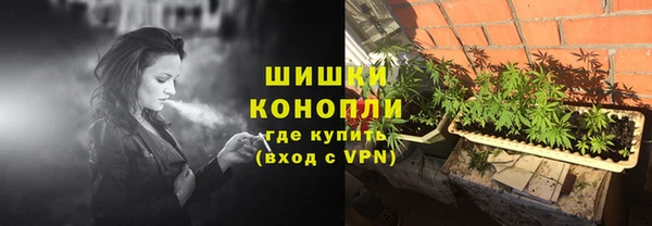 ПСИЛОЦИБИНОВЫЕ ГРИБЫ Богданович