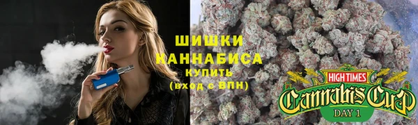 ПСИЛОЦИБИНОВЫЕ ГРИБЫ Богданович